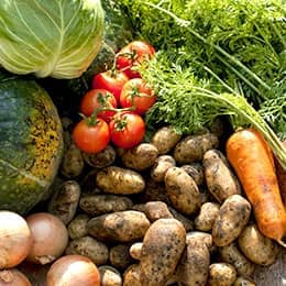 地元の食材を活かし季節を味わう和食を提供